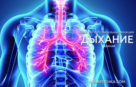 [Антон Шапочка] Квест по телу_ витальные функции. _0.jpg